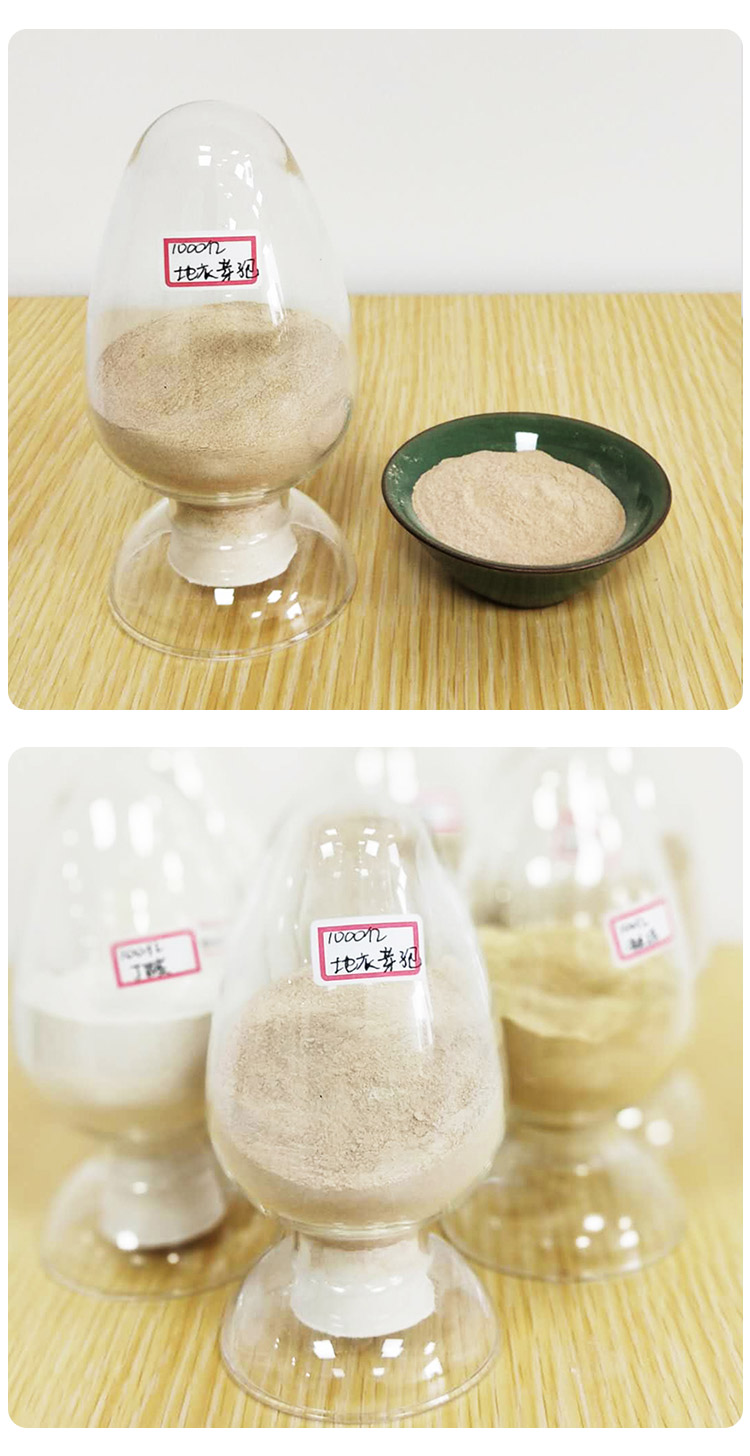 地衣芽孢桿菌 地衣芽孢桿菌